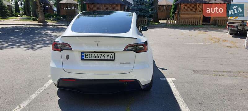 Позашляховик / Кросовер Tesla Model Y 2022 в Львові