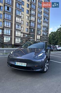 Внедорожник / Кроссовер Tesla Model Y 2023 в Чернигове