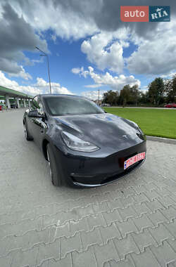 Внедорожник / Кроссовер Tesla Model Y 2024 в Житомире