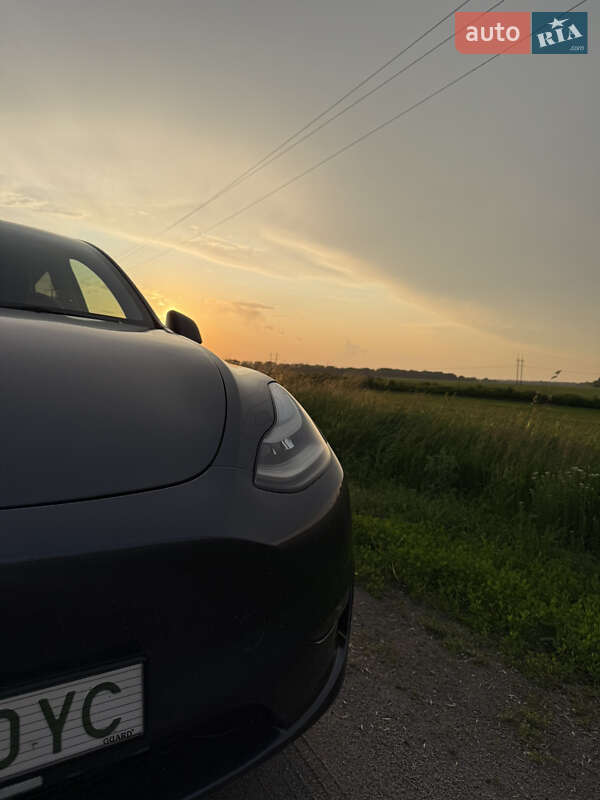 Внедорожник / Кроссовер Tesla Model Y 2023 в Белой Церкви