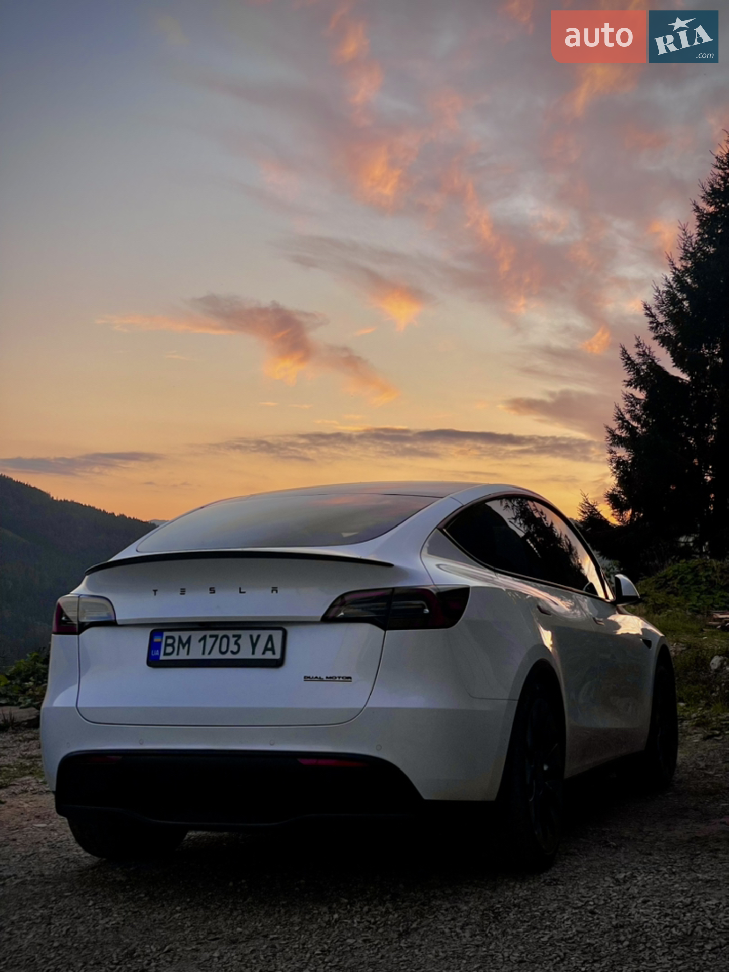 2022 Tesla Model Y - мініатюра 14