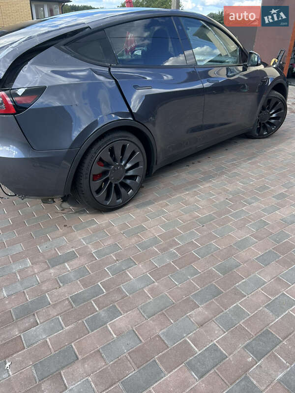 Позашляховик / Кросовер Tesla Model Y 2022 в Києві