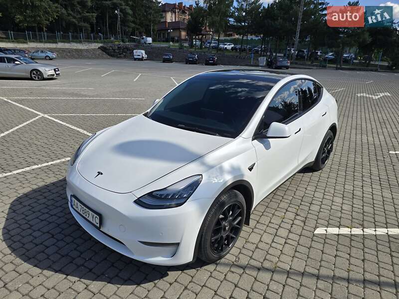 Внедорожник / Кроссовер Tesla Model Y 2021 в Ужгороде