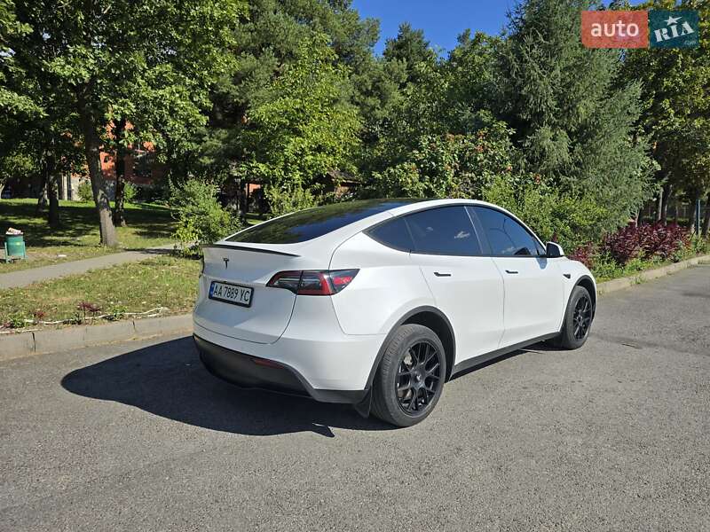 Внедорожник / Кроссовер Tesla Model Y 2021 в Ужгороде