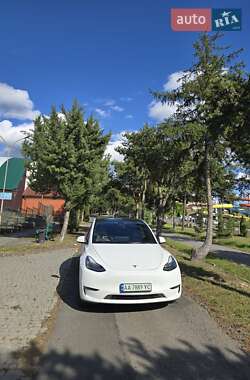 Внедорожник / Кроссовер Tesla Model Y 2021 в Ужгороде