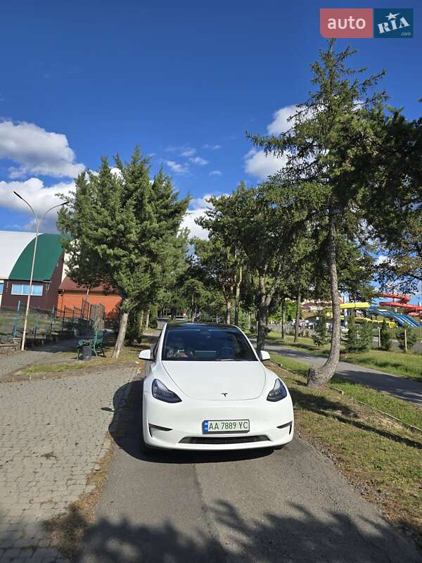 Внедорожник / Кроссовер Tesla Model Y 2021 в Ужгороде