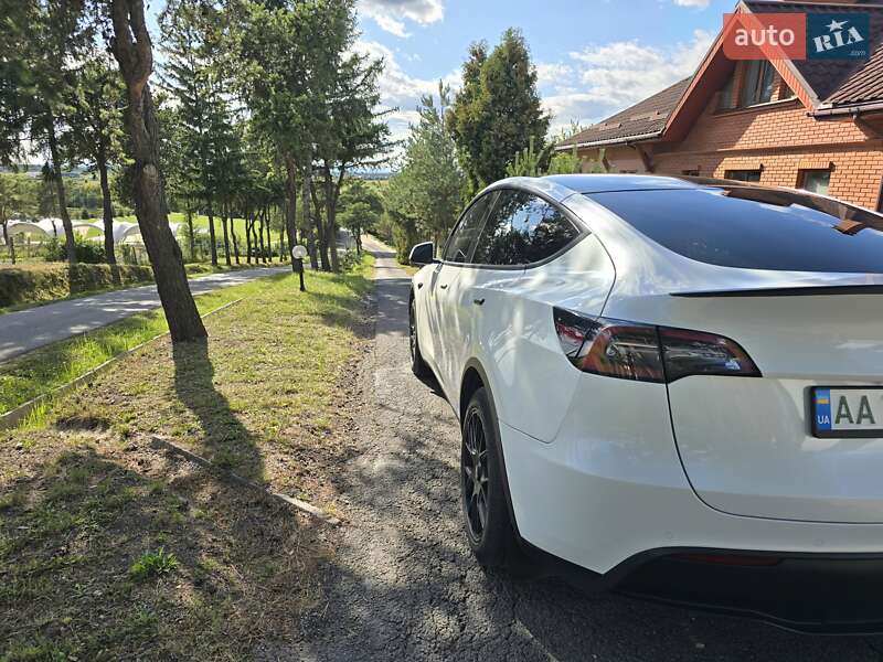 Внедорожник / Кроссовер Tesla Model Y 2021 в Ужгороде