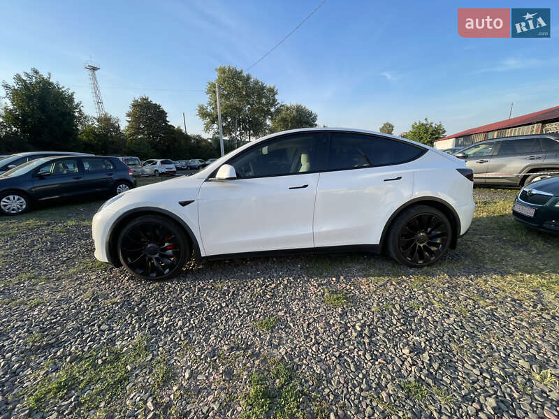 Позашляховик / Кросовер Tesla Model Y 2021 в Луцьку
