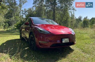 Позашляховик / Кросовер Tesla Model Y 2024 в 