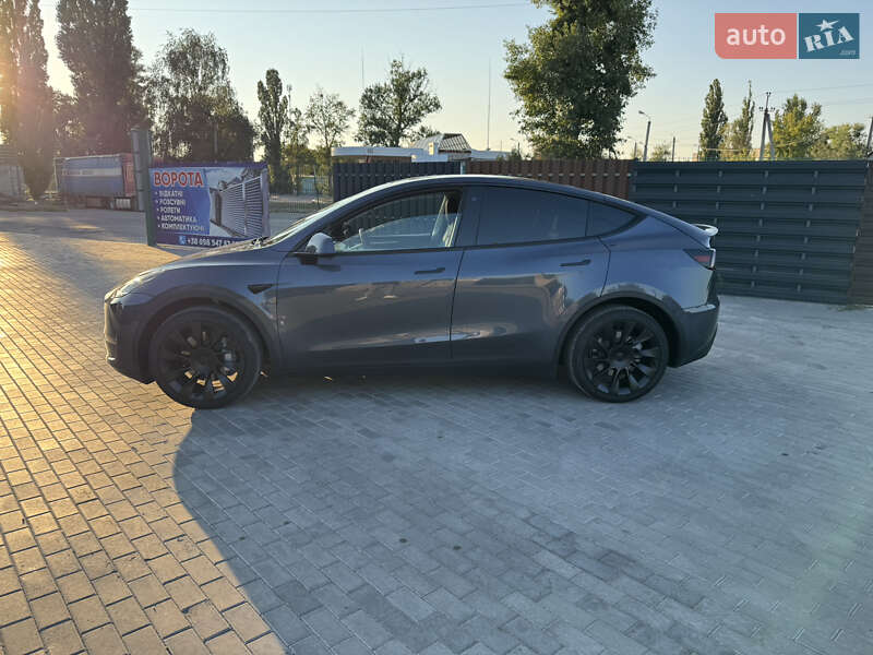 Внедорожник / Кроссовер Tesla Model Y 2023 в Днепре