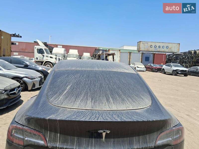 Позашляховик / Кросовер Tesla Model Y 2024 в Києві