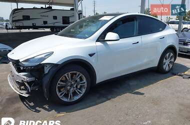 Позашляховик / Кросовер Tesla Model Y 2023 в 