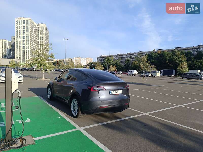 Внедорожник / Кроссовер Tesla Model Y 2022 в Киеве