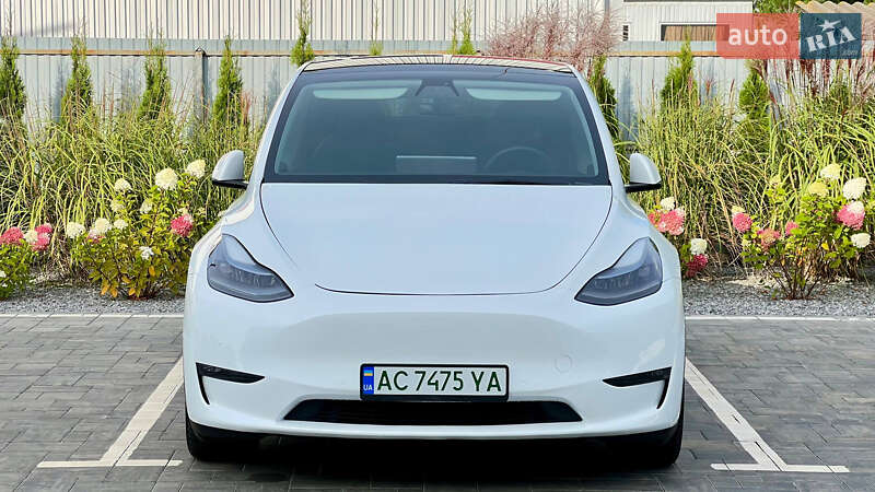 Позашляховик / Кросовер Tesla Model Y 2021 в Луцьку
