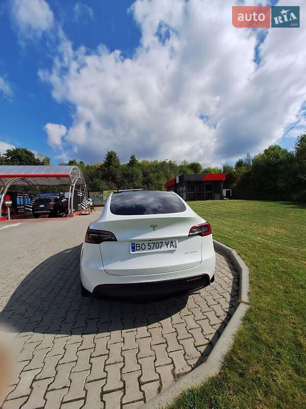 Позашляховик / Кросовер Tesla Model Y 2021 в Тернополі