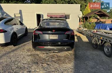 Внедорожник / Кроссовер Tesla Model Y 2023 в 
