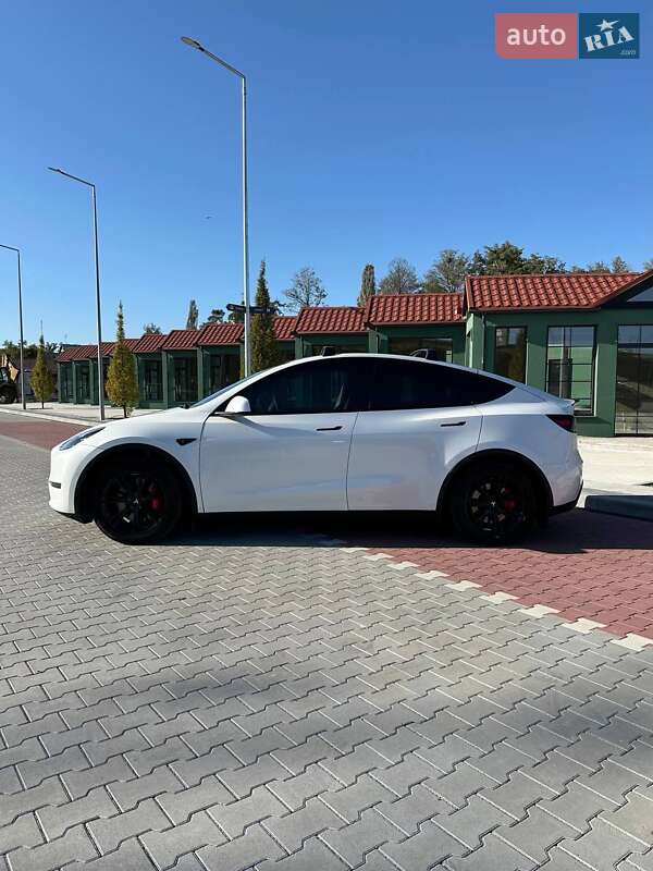 Позашляховик / Кросовер Tesla Model Y 2021 в Києві