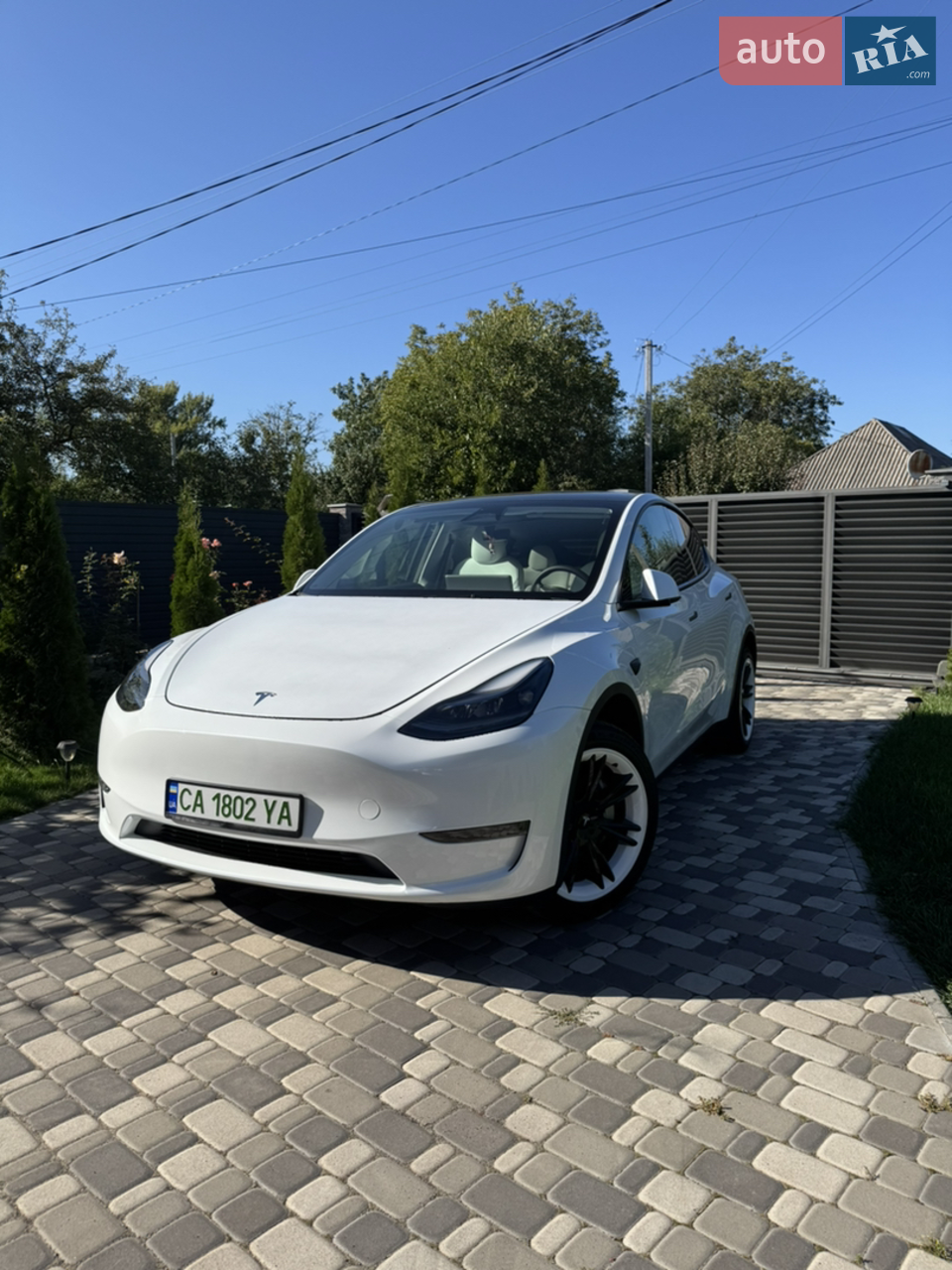 2023 Tesla Model Y - мініатюра 11