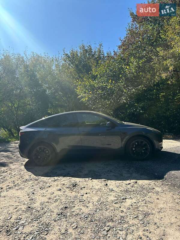 Внедорожник / Кроссовер Tesla Model Y 2021 в Киеве