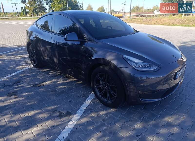 Позашляховик / Кросовер Tesla Model Y 2021 в Тульчині