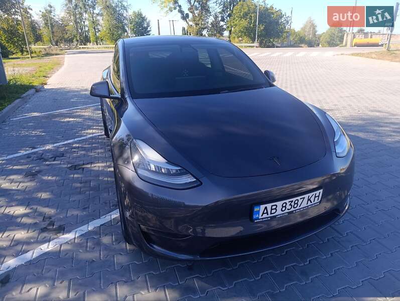 Позашляховик / Кросовер Tesla Model Y 2021 в Тульчині