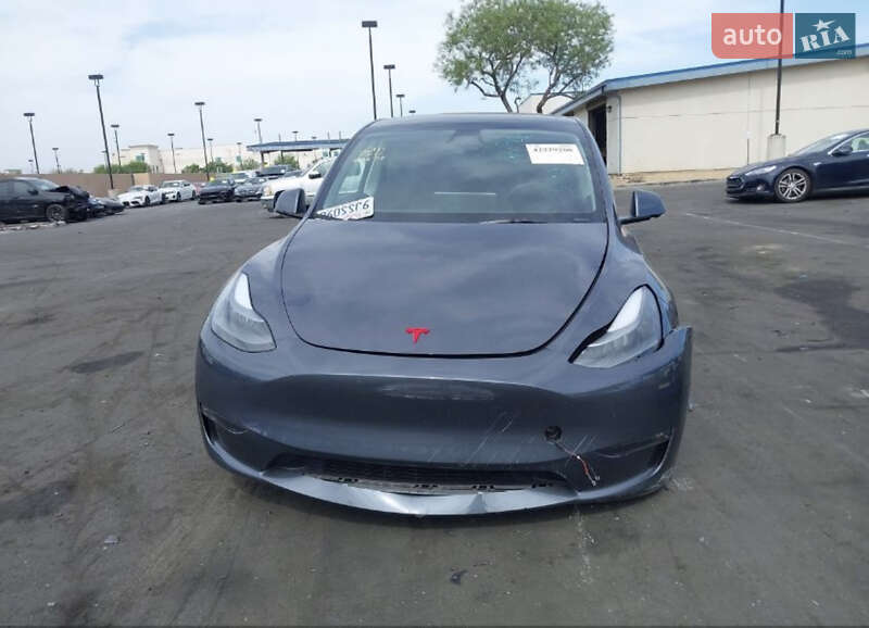 Внедорожник / Кроссовер Tesla Model Y 2023 в Черновцах