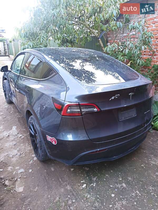 Позашляховик / Кросовер Tesla Model Y 2022 в Самборі