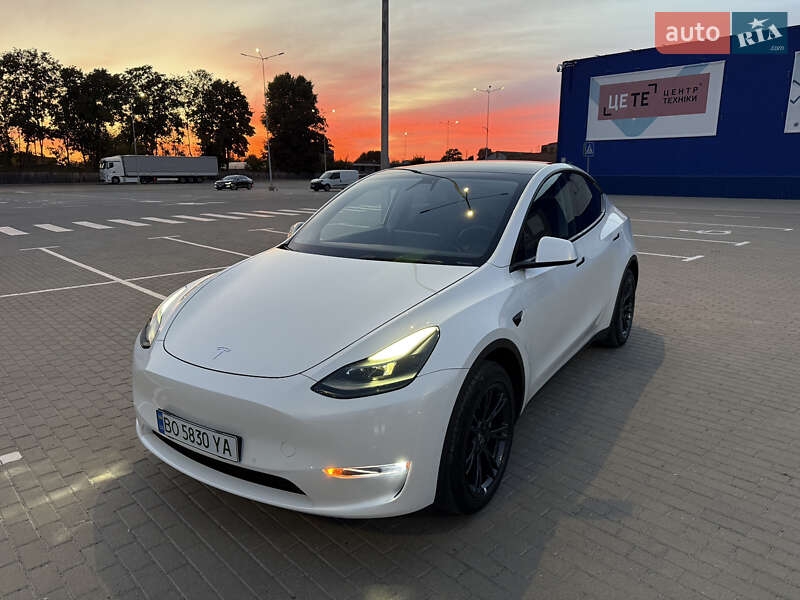 Позашляховик / Кросовер Tesla Model Y 2022 в Тернополі