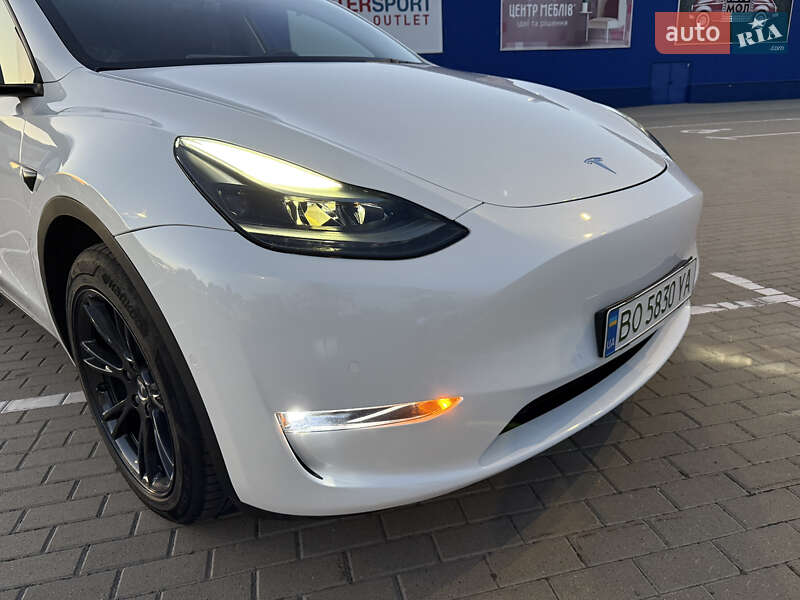 Позашляховик / Кросовер Tesla Model Y 2022 в Тернополі