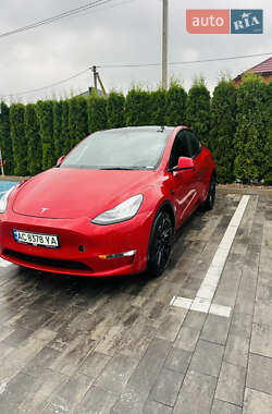 Позашляховик / Кросовер Tesla Model Y 2021 в Луцьку
