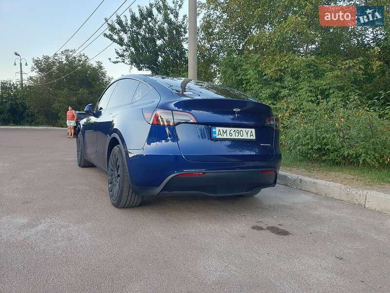 Внедорожник / Кроссовер Tesla Model Y 2023 в Житомире