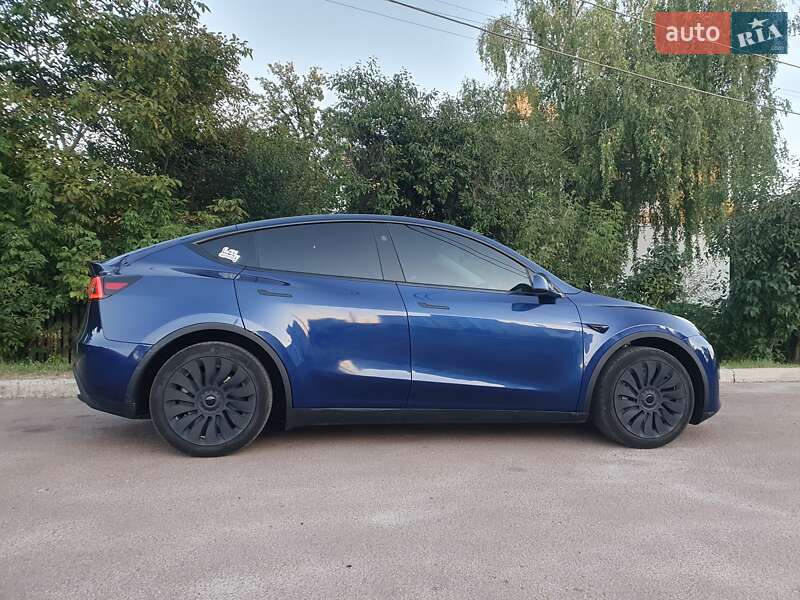 Внедорожник / Кроссовер Tesla Model Y 2023 в Житомире