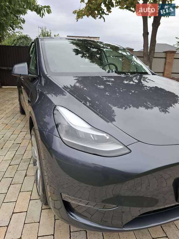Позашляховик / Кросовер Tesla Model Y 2023 в Києві