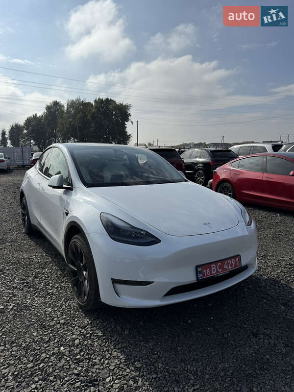 Позашляховик / Кросовер Tesla Model Y 2023 в Луцьку