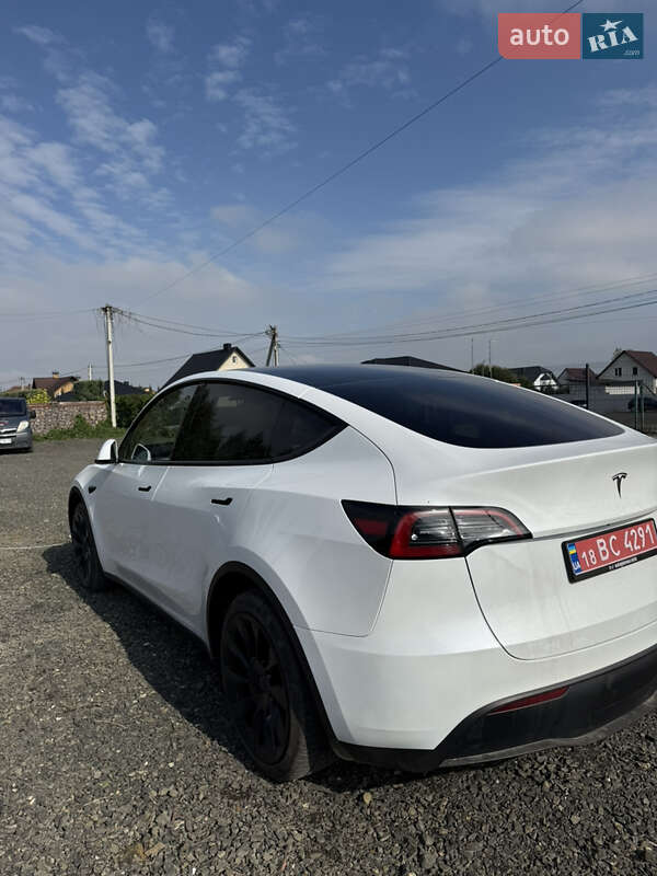 Позашляховик / Кросовер Tesla Model Y 2023 в Луцьку
