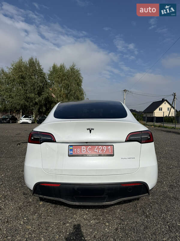 Позашляховик / Кросовер Tesla Model Y 2023 в Луцьку