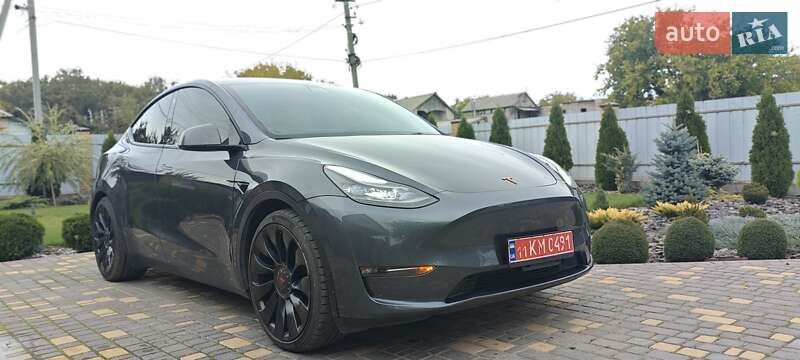 Внедорожник / Кроссовер Tesla Model Y 2022 в Верхнеднепровске