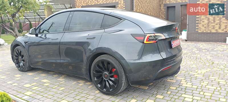 Внедорожник / Кроссовер Tesla Model Y 2022 в Верхнеднепровске