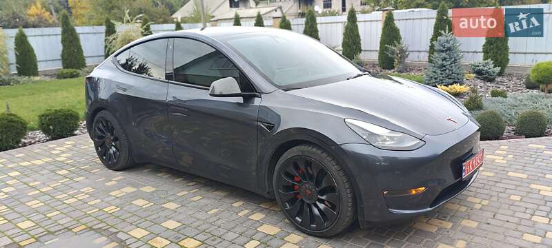 Внедорожник / Кроссовер Tesla Model Y 2022 в Верхнеднепровске