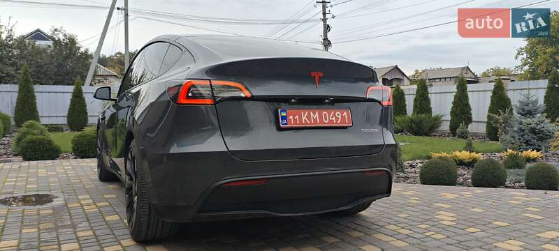 Внедорожник / Кроссовер Tesla Model Y 2022 в Верхнеднепровске
