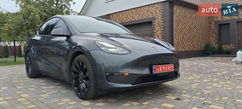 Внедорожник / Кроссовер Tesla Model Y 2022 в Верхнеднепровске