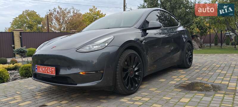 Внедорожник / Кроссовер Tesla Model Y 2022 в Верхнеднепровске