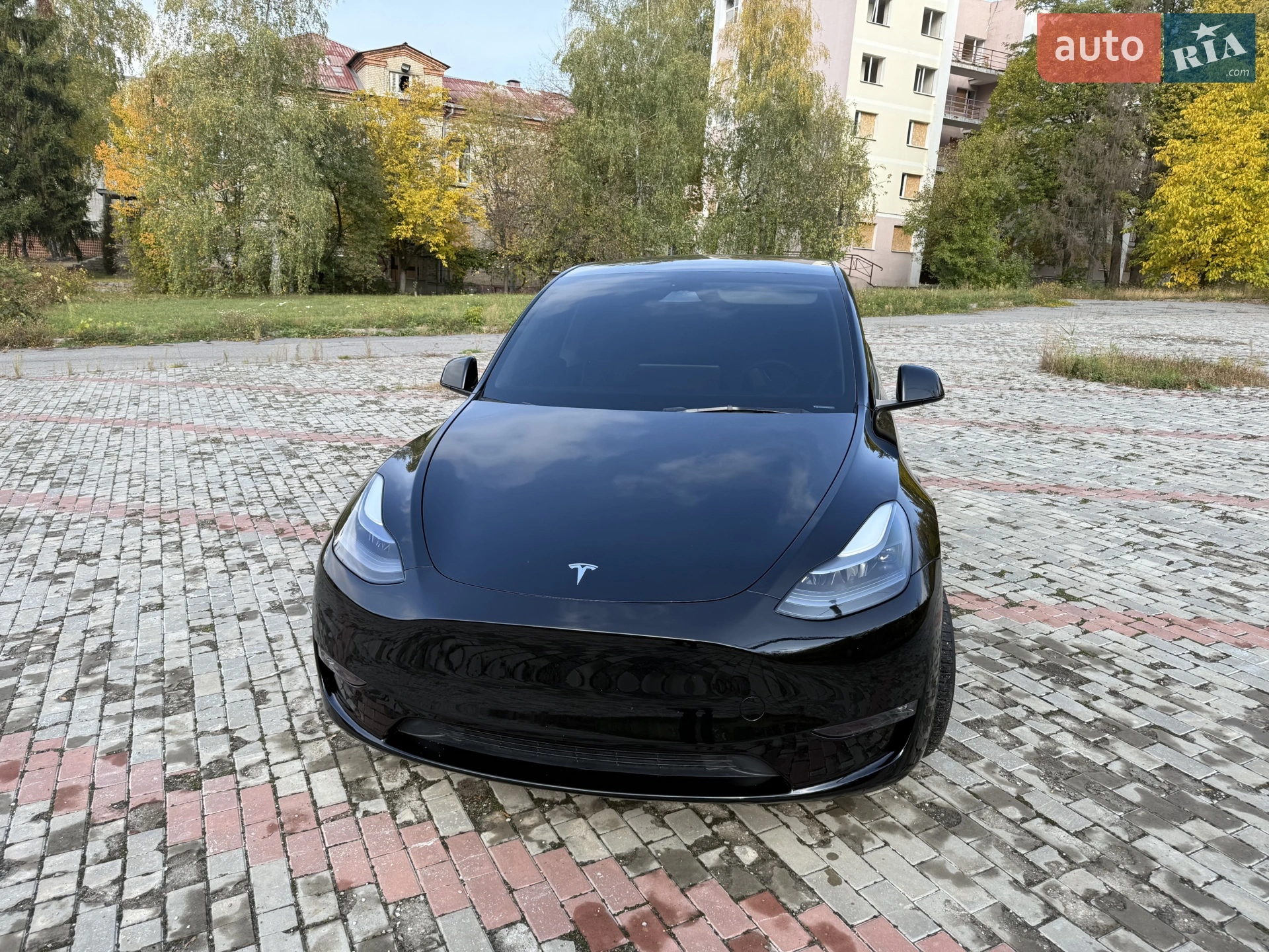 2023 Tesla Model Y - мініатюра 12