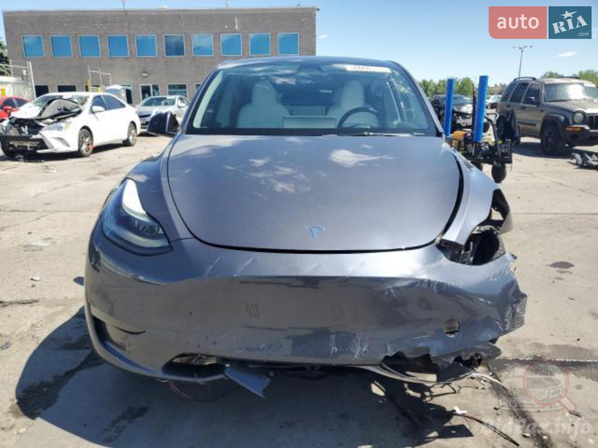 2023 Tesla Model Y - фото 1