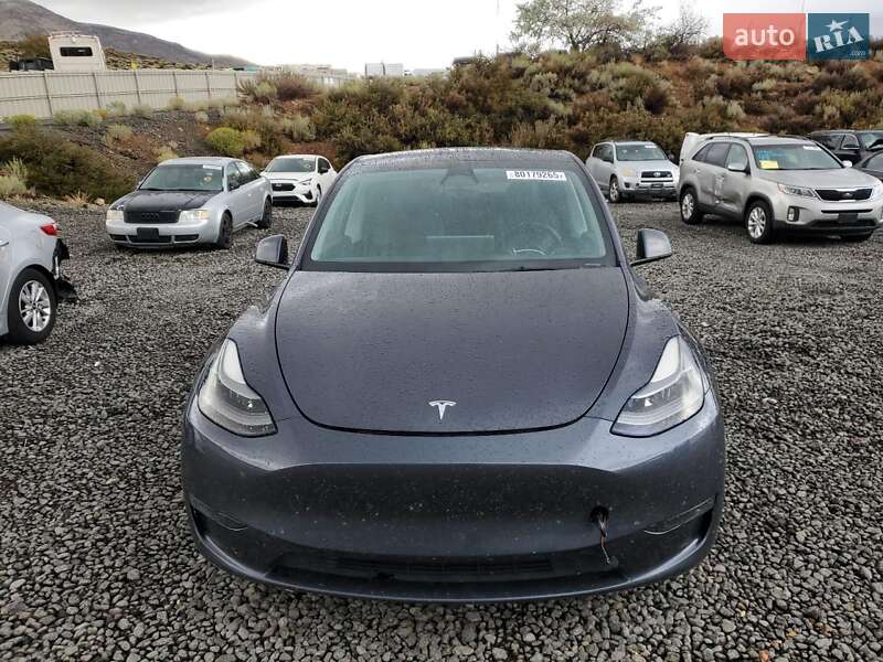 Внедорожник / Кроссовер Tesla Model Y 2021 в Киеве фото 5 Внедорожник / Кроссовер Tesla Model Y 2021 в Киеве