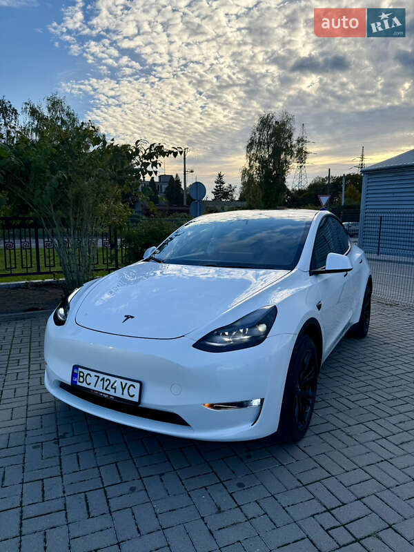Позашляховик / Кросовер Tesla Model Y 2023 в Львові