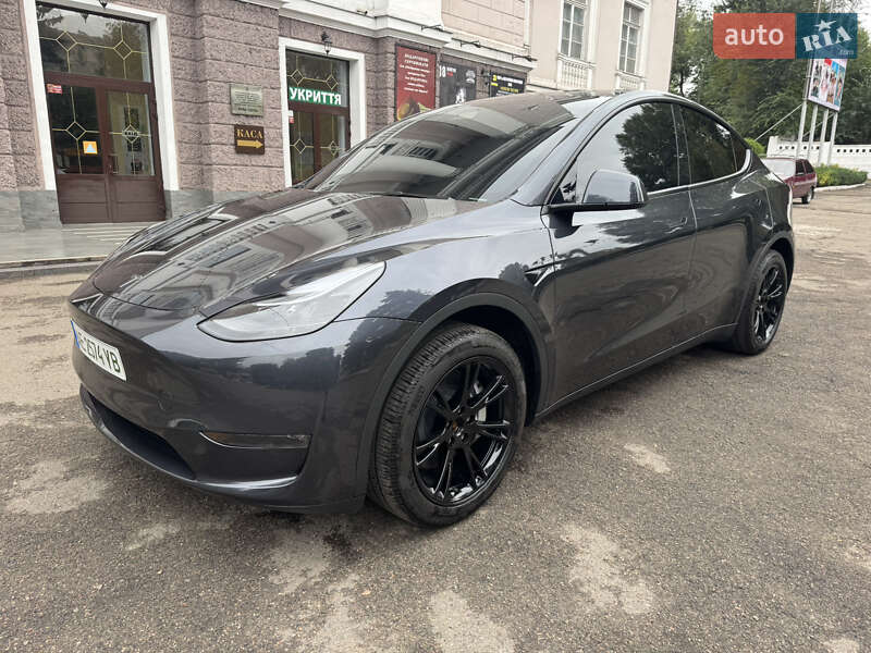Позашляховик / Кросовер Tesla Model Y 2024 в Кам'янському