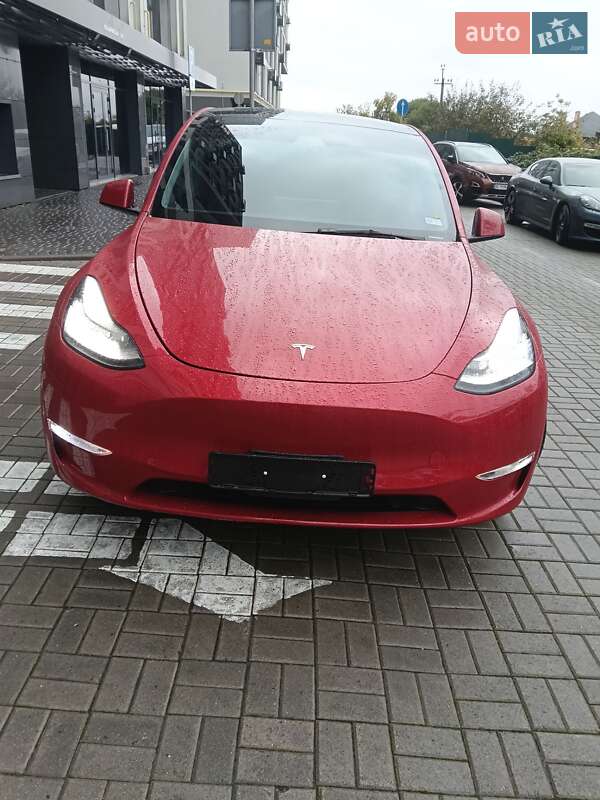 Позашляховик / Кросовер Tesla Model Y 2023 в Львові