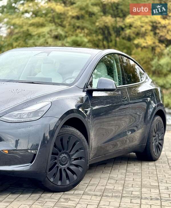 Позашляховик / Кросовер Tesla Model Y 2024 в Дніпрі