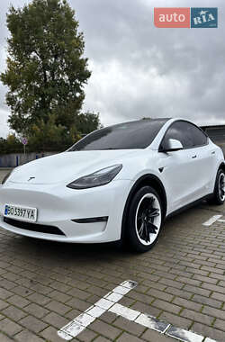Внедорожник / Кроссовер Tesla Model Y 2023 в 